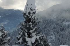 Vue Sapin - Hiver 1